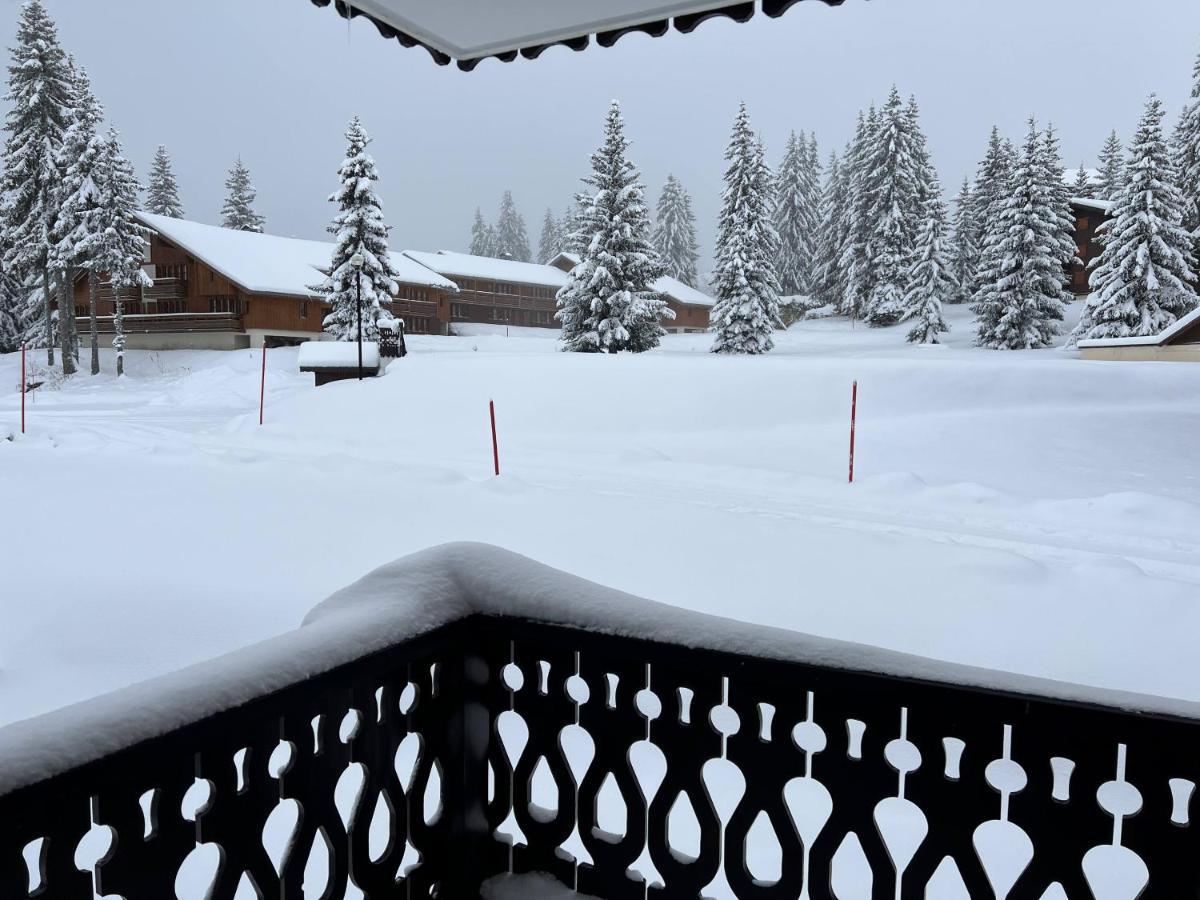 Résidence La Forêt Des Rennes - Les Saisies Villard-sur-Doron Esterno foto