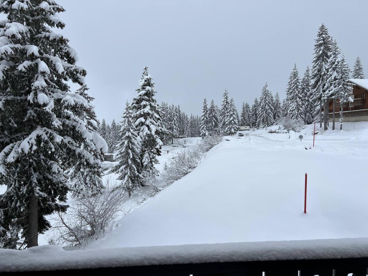 Résidence La Forêt Des Rennes - Les Saisies Villard-sur-Doron Esterno foto