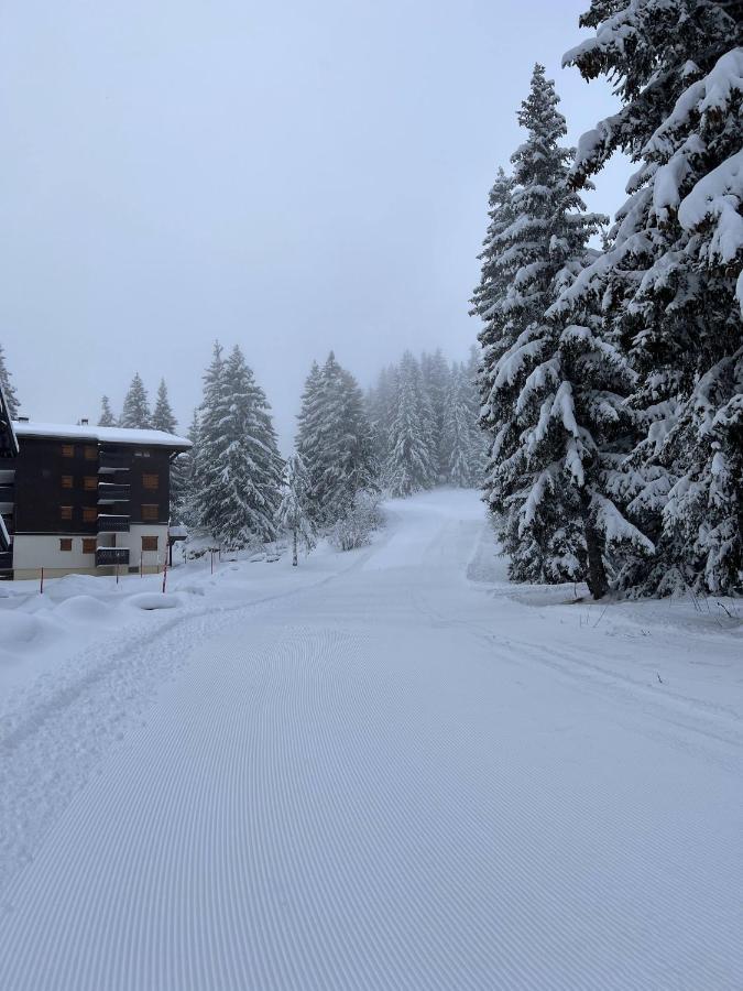 Résidence La Forêt Des Rennes - Les Saisies Villard-sur-Doron Esterno foto