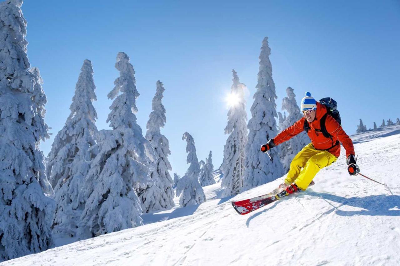 Résidence La Forêt Des Rennes - Les Saisies Villard-sur-Doron Esterno foto